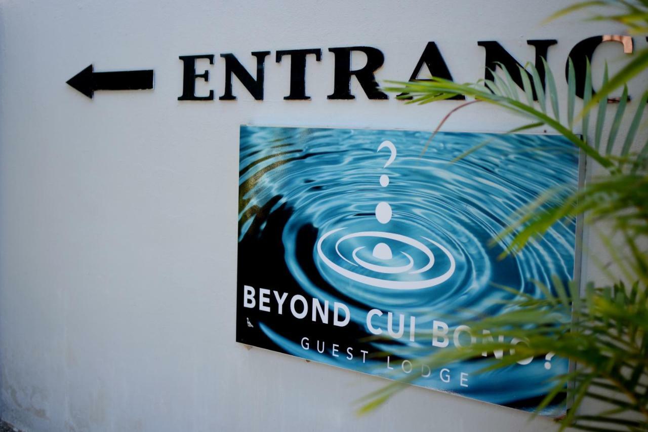 Beyond Cui Bono Guesthouse Addo Eksteriør bilde