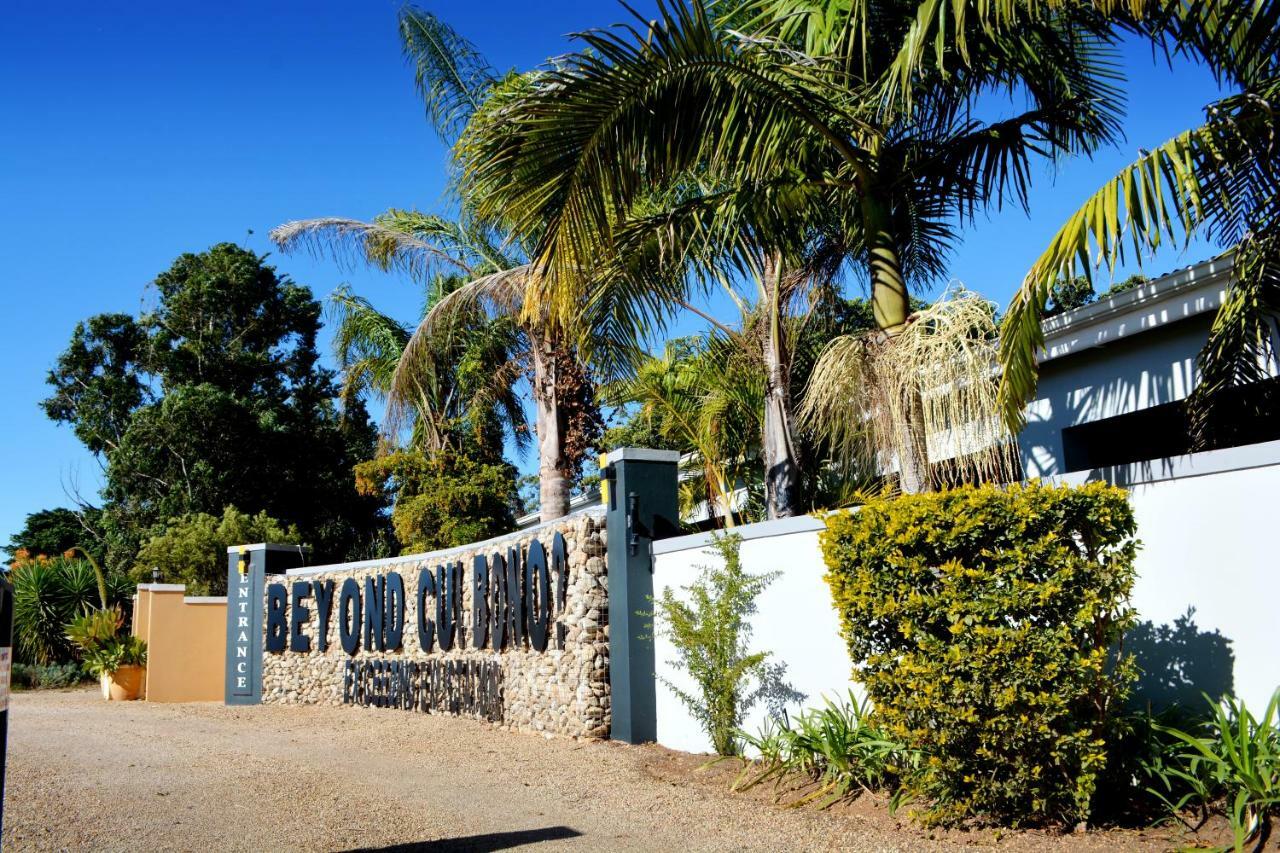 Beyond Cui Bono Guesthouse Addo Eksteriør bilde
